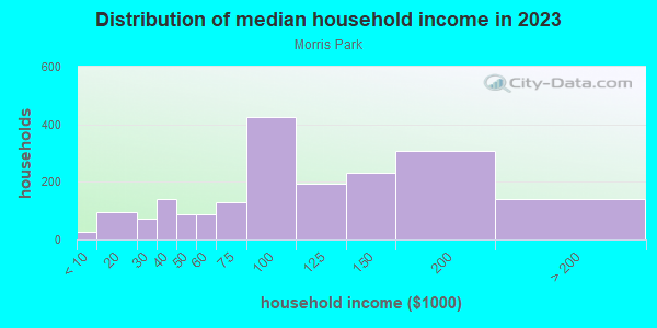 Household income distribution in 2013 in Morris Park in Minneapolis neighborhood in MN