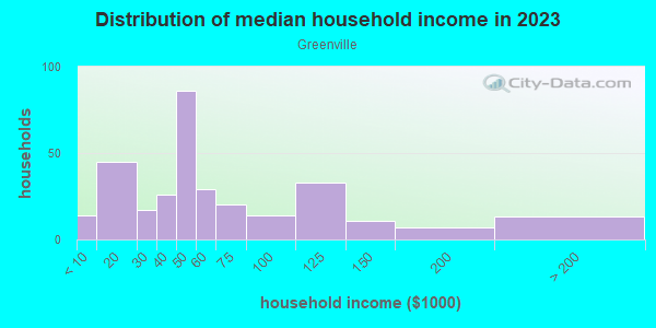 Household income distribution in 2013 in Greenville in Charlotte neighborhood in NC
