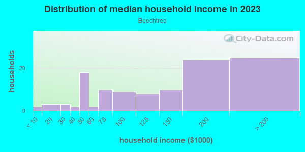 Household income distribution in 2013 in Beechtree in Cary neighborhood in NC