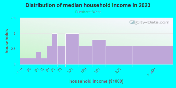 Household income distribution in 2013 in Buckherst West in Cary neighborhood in NC
