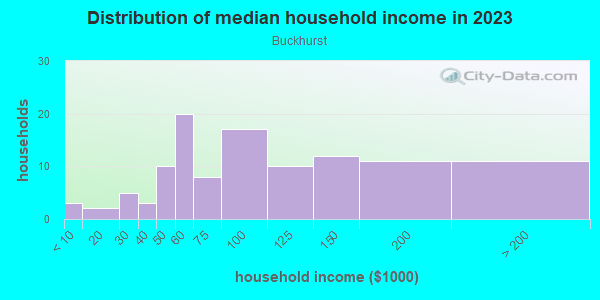 Household income distribution in 2013 in Buckhurst in Cary neighborhood in NC