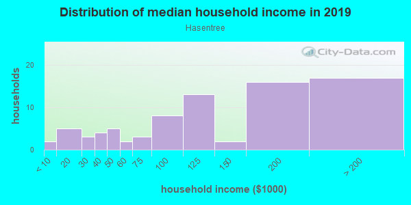 Household income distribution in 2013 in Hasentree in Wake Forest neighborhood in NC
