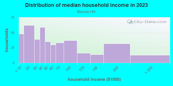 Household income distribution in 2013 in Massey Hill in Fayetteville neighborhood in NC