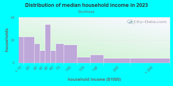 Household income distribution in 2013 in Buckhead in Fayetteville neighborhood in NC