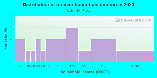Household income distribution in 2013 in Wellington Place in Cary neighborhood in NC