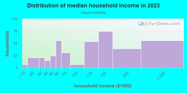 Household income distribution in 2013 in Savon Heights in Cary neighborhood in NC