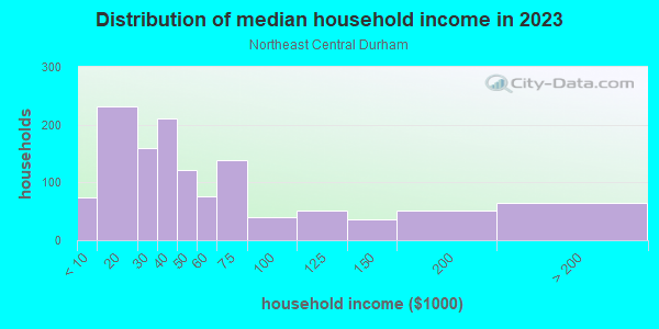 Household income distribution in 2013 in Northeast Central Durham in Durham neighborhood in NC
