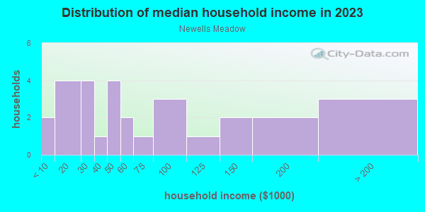 Household income distribution in 2013 in Newells Meadow in Derry neighborhood in NH