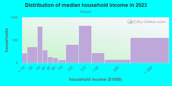 Household income distribution in 2013 in Maurer in Perth Amboy neighborhood in NJ