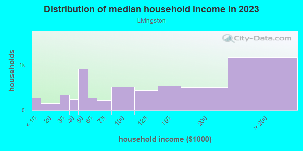 Household income distribution in 2013 in Livingston in Union neighborhood in NJ