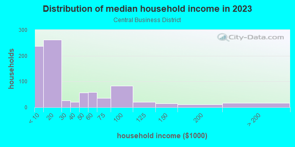 Household income distribution in 2013 in Central Business District in Newark neighborhood in NJ