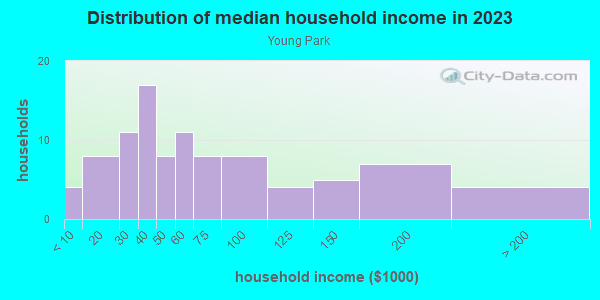 Household income distribution in 2013 in Young Park in Santa Fe neighborhood in NM