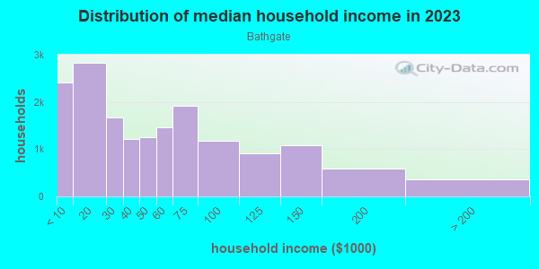 Household income distribution in 2013 in Bathgate in Bronx neighborhood in NY