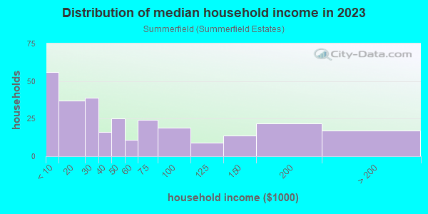Household income distribution in 2013 in Summerfield in Holtsville neighborhood in NY