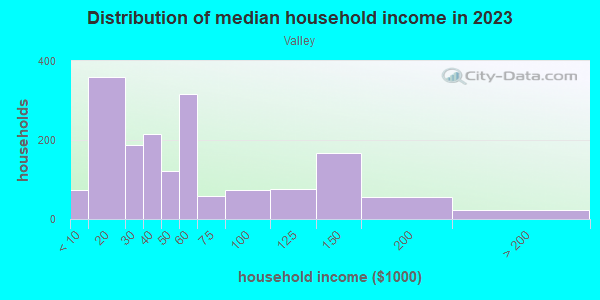 Household income distribution in 2013 in Valley in Buffalo neighborhood in NY