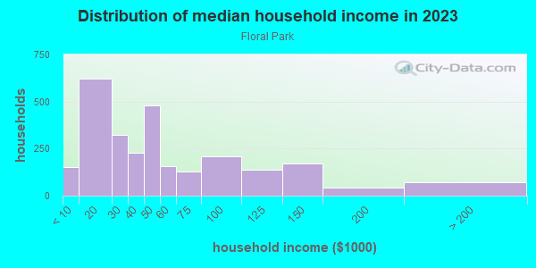 Household income distribution in 2013 in Floral Park in Johnson City neighborhood in NY