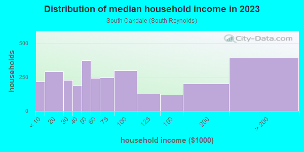 Household income distribution in 2013 in South Oakdale in Johnson City neighborhood in NY