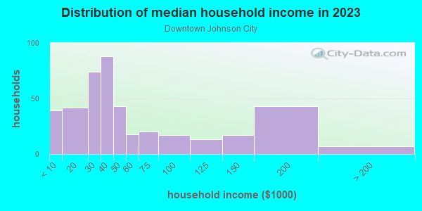 Household income distribution in 2013 in Downtown Johnson City in Johnson City neighborhood in NY