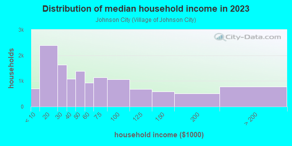 Household income distribution in 2013 in Johnson City in Johnson City neighborhood in NY