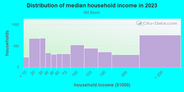 Household income distribution in 2013 in Mill Basin in Brooklyn neighborhood in NY