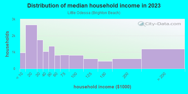 Household income distribution in 2013 in Little Odessa in Brooklyn neighborhood in NY