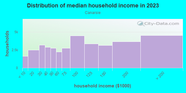Household income distribution in 2013 in Canarsie in Brooklyn neighborhood in NY
