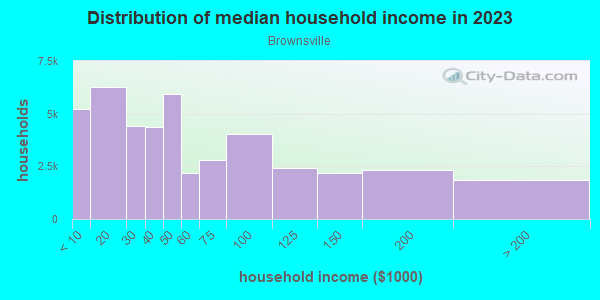 Household income distribution in 2013 in Brownsville in Brooklyn neighborhood in NY