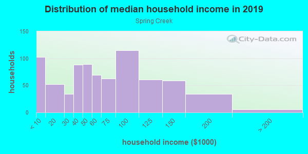 Household income distribution in 2013 in Spring Creek in Brooklyn neighborhood in NY