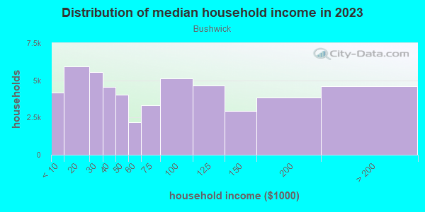 Household income distribution in 2013 in Bushwick in Brooklyn neighborhood in NY