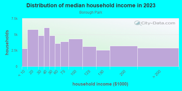 Household income distribution in 2013 in Borough Park in Brooklyn neighborhood in NY