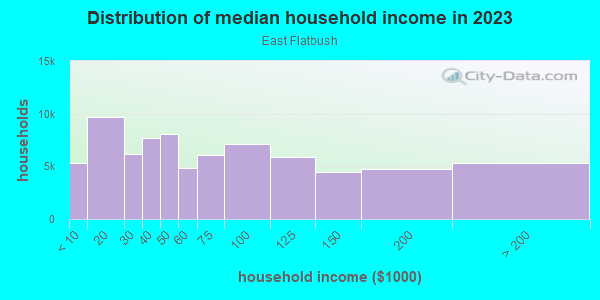 Household income distribution in 2013 in East Flatbush in Brooklyn neighborhood in NY