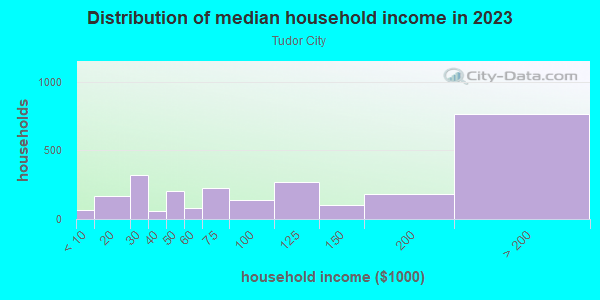 Household income distribution in 2013 in Tudor City in New York neighborhood in NY