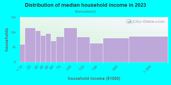 Household income distribution in 2013 in Bensonhurst in Brooklyn neighborhood in NY
