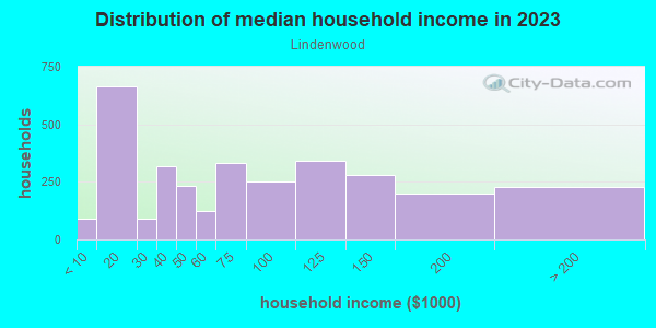 Household income distribution in 2013 in Lindenwood in Howard Beach neighborhood in NY