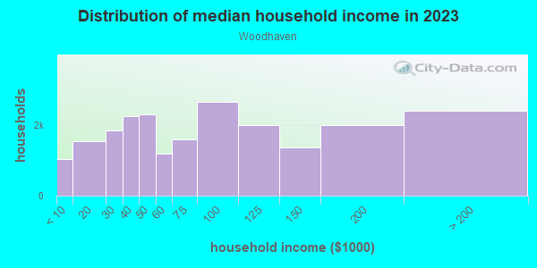 Household income distribution in 2013 in Woodhaven in Woodhaven neighborhood in NY