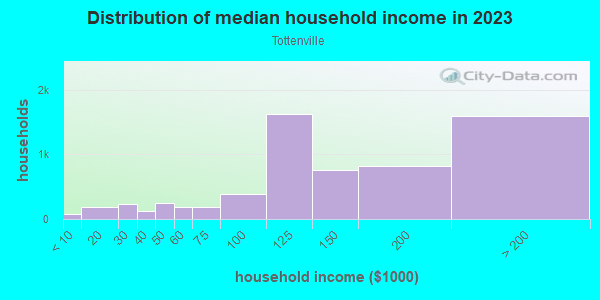 Household income distribution in 2013 in Tottenville in Staten Island neighborhood in NY