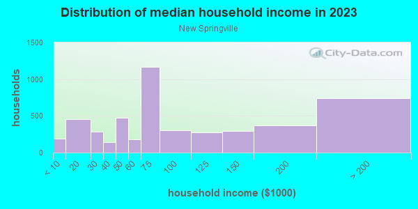 Household income distribution in 2013 in New Springville in Staten Island neighborhood in NY