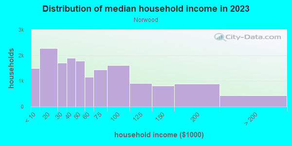 Household income distribution in 2013 in Norwood in Bronx neighborhood in NY
