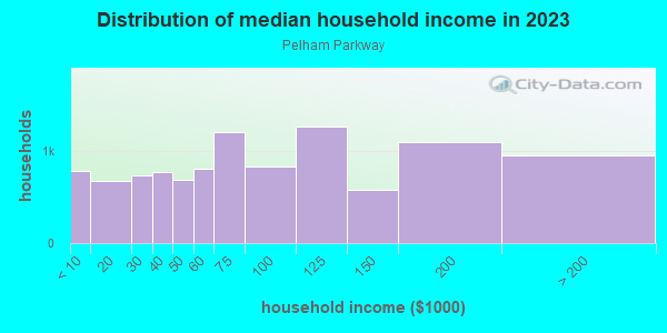 Household income distribution in 2013 in Pelham Parkway in Bronx neighborhood in NY