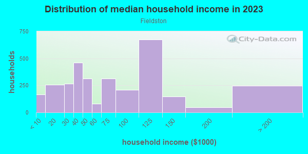 Household income distribution in 2013 in Fieldston in Bronx neighborhood in NY