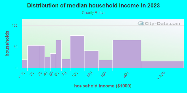 Household income distribution in 2013 in Charity Rotch in Massillon neighborhood in OH