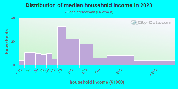 Household income distribution in 2013 in Village of Newman in Massillon neighborhood in OH