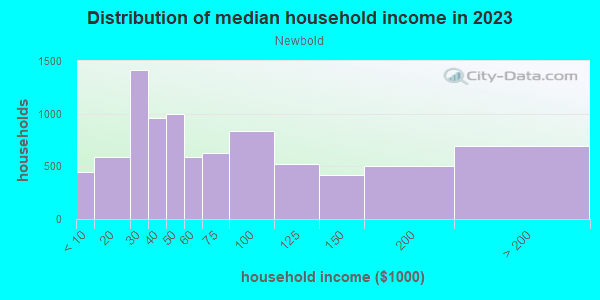 Household income distribution in 2013 in Newbold in Philadelphia neighborhood in PA
