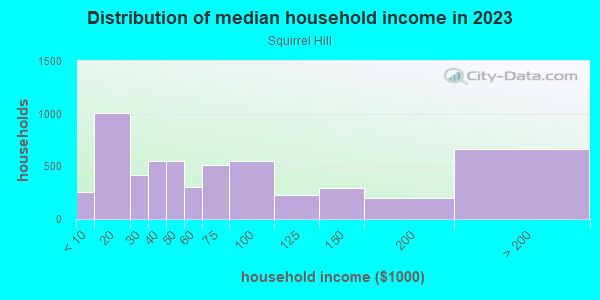 Household income distribution in 2013 in Squirrel Hill in Philadelphia neighborhood in PA