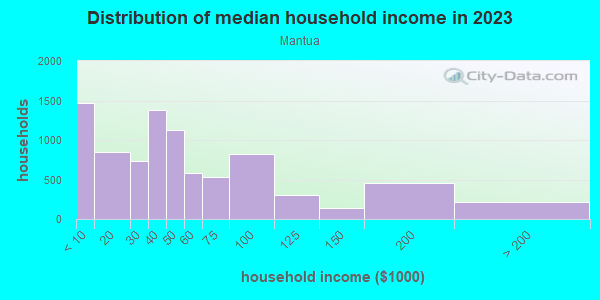 Household income distribution in 2013 in Mantua in Philadelphia neighborhood in PA