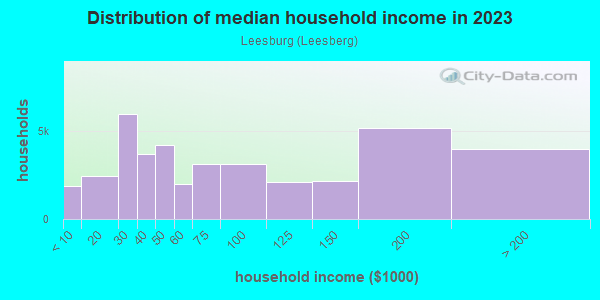 Household income distribution in 2013 in Leesburg in Columbia neighborhood in SC