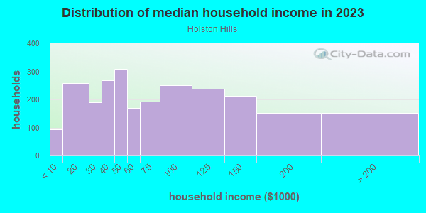 Household income distribution in 2013 in Holston Hills in Knoxville neighborhood in TN