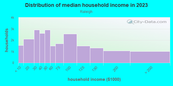 Household income distribution in 2013 in Raleigh in Memphis neighborhood in TN