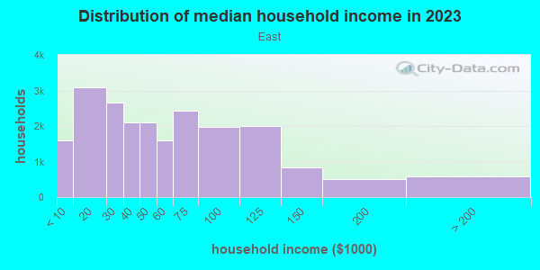 Household income distribution in 2013 in East in Lubbock neighborhood in TX