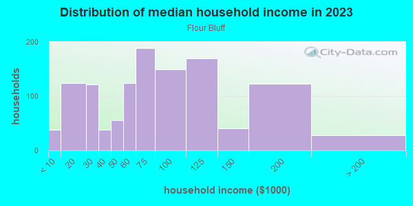 Household income distribution in 2013 in Flour Bluff in Corpus Christi neighborhood in TX